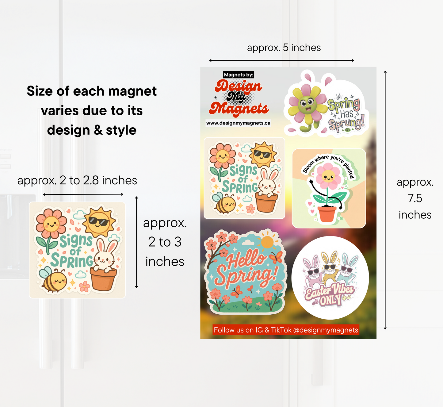 Spring Has Sprung – Floral & Easter Magnet Pack