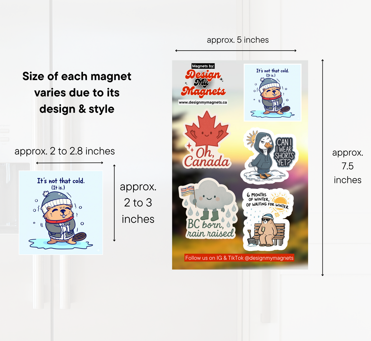 BC Born, Rain Raised – Canada Weather Magnet Pack