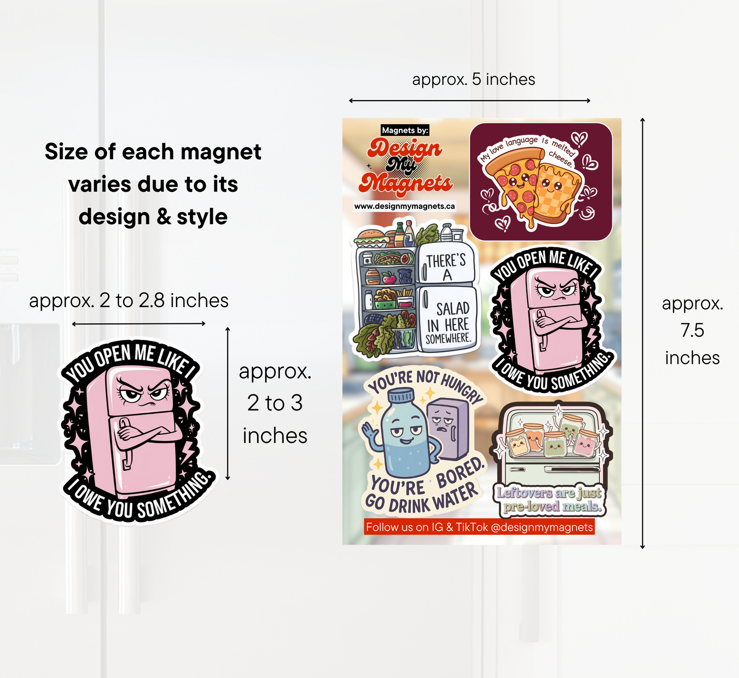 You Open Me Like I Owe You Something – Sass Magnet Pack