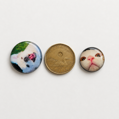 Custom Glass Photo Magnets | Glass Cabochon Fridge Magnets