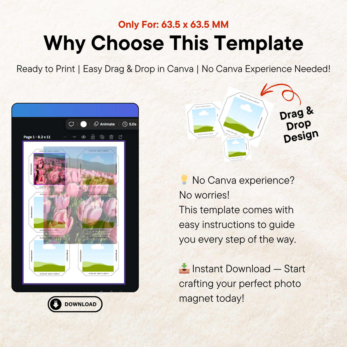 Heading &#39;Why Choose This Template&#39; explaining benefits like easy design customization, professional look, and compatibility with Canva for free users.