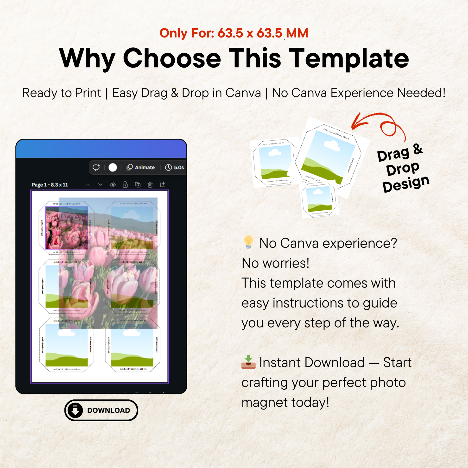 Heading &#39;Why Choose This Template&#39; explaining benefits like easy design customization, professional look, and compatibility with Canva for free users.