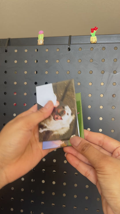 Custom Rectangle Button Magnets (2.5" x 3.5") – Personalized Photo Magnets
